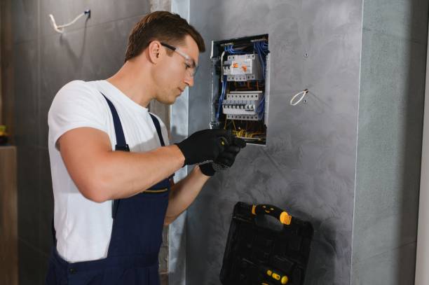 Best Electric Panel Repair  in Ellis, KS